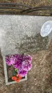 Захоронение ID 6346127