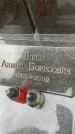 Захоронение ID 6346157