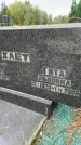 Захоронение ID 6346165