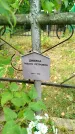 Захоронение ID 6346824
