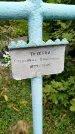 Захоронение ID 6346841