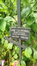 Захоронение ID 6346849