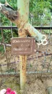 Захоронение ID 6346894