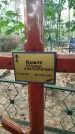 Захоронение ID 6346908