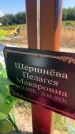 Захоронение ID 6346959