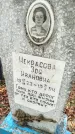 Захоронение ID 6347014