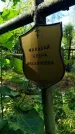 Захоронение ID 6347052