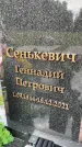 Захоронение ID 6347158