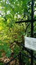Захоронение ID 6347214
