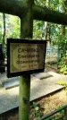 Захоронение ID 6347224