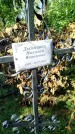Захоронение ID 6347225