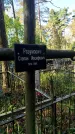 Захоронение ID 6347238