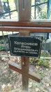 Захоронение ID 6347277