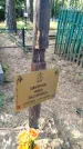 Захоронение ID 6347299