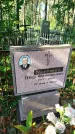 Захоронение ID 6347338