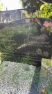 Захоронение ID 6347473