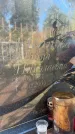 Захоронение ID 6347484