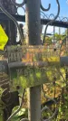 Захоронение ID 6347529