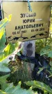 Захоронение ID 6347981