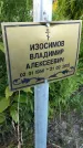 Захоронение ID 6348034
