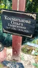 Захоронение ID 6348054