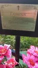 Захоронение ID 6348210