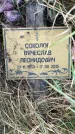 Захоронение ID 6348305
