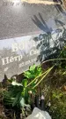 Захоронение ID 6348815