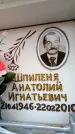 Захоронение ID 6348929