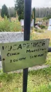 Захоронение ID 6349085