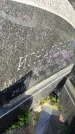 Захоронение ID 6349127