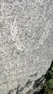 Захоронение ID 6349170