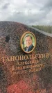 Захоронение ID 6349235