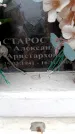 Захоронение ID 6349320