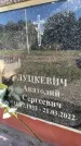 Захоронение ID 6349403