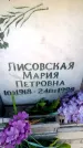 Захоронение ID 6349478