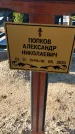 Захоронение ID 6349601