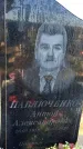 Захоронение ID 6349681