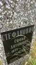 Захоронение ID 6349841