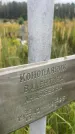 Захоронение ID 6350109