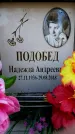 Захоронение ID 6350168