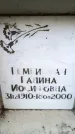 Захоронение ID 6350208