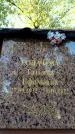 Захоронение ID 6350452