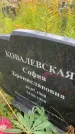 Захоронение ID 6350721
