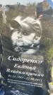 Захоронение ID 6350741