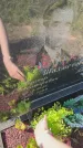 Захоронение ID 6350855