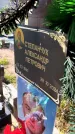 Захоронение ID 6350892