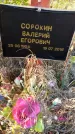 Захоронение ID 6351006