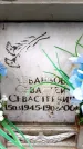 Захоронение ID 6351079