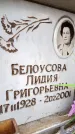 Захоронение ID 6351085